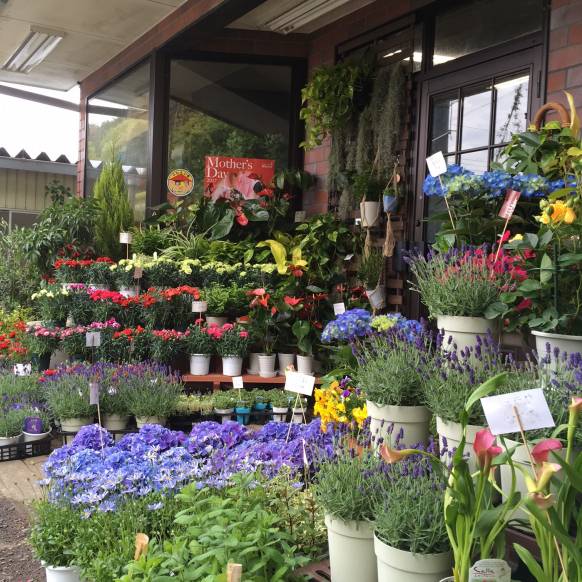 「フラワーショップいくた」　（福島県白河市）の花屋店舗写真2